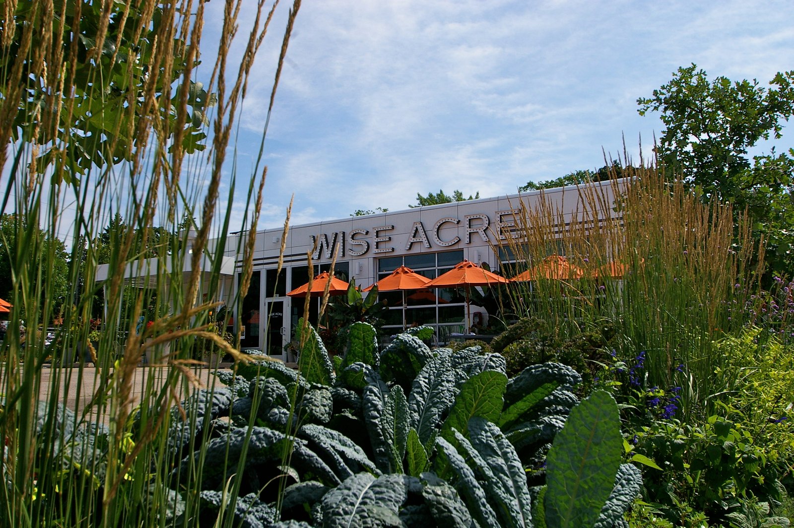 6 Great Restaurants for Twin Cities Locavores